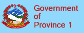 Government Portal of Province 1